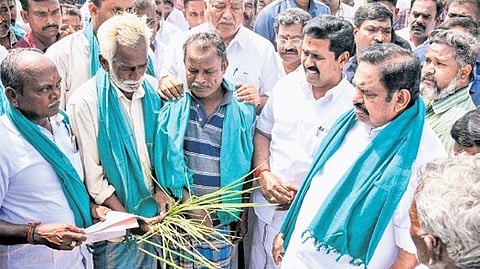 AIADMK general secretary Edappadi K Palaniswami interacting with farmers at a paddy field in Vannarapettai near Thanjavur on Sunday.