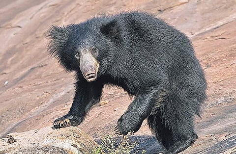 Image used for representative purpose.