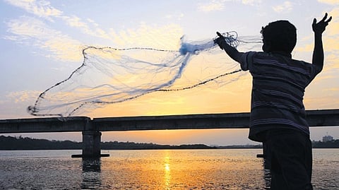 He added that global buyers increasingly demand responsibly-sourced and fully-traceable supply chains aligned with Sustainable Development Goals.