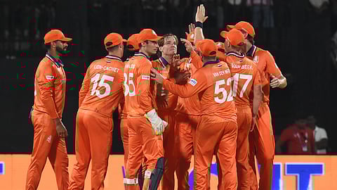 Netherlands players celebrate a wicket on Friday