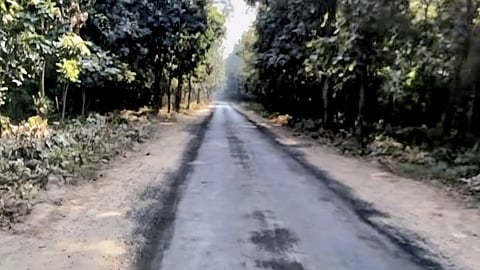 The project had been stalled primarily because a 4.5-km segment, stretching from Chamaria Bend to the Siggadi Sot area, serves as a vital wildlife corridor.