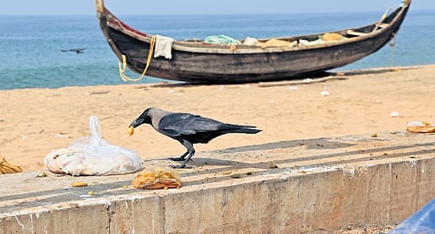 Scenes from Shankhumukham beach, which is littered with garbage due to negligence and lack of upkeep