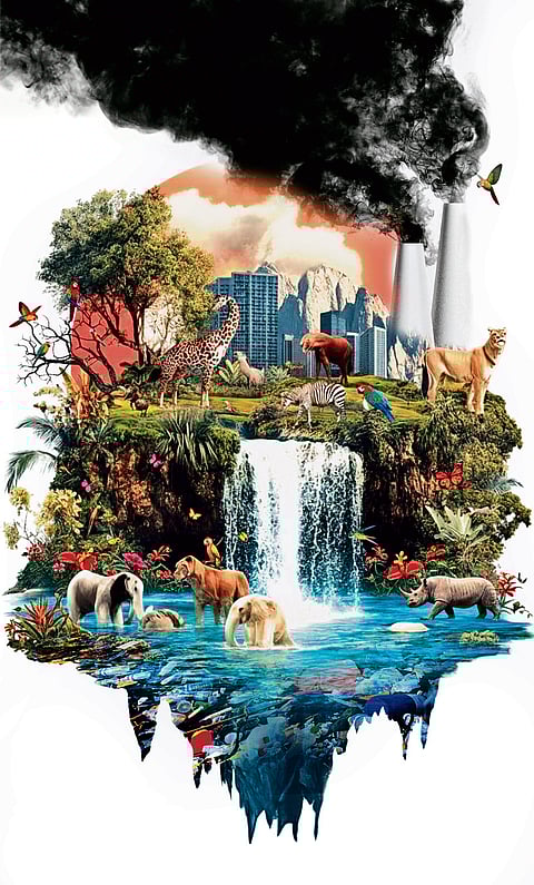 Global economic growth driving alarming biodiversity loss: report