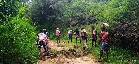 Representative image