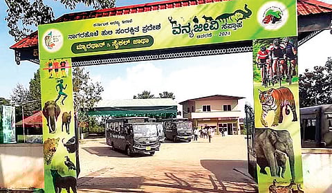 Safaris were closed from November 7 due to increasing man-animal conflict