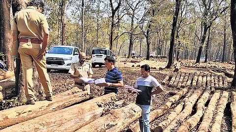 Kerala forest timber sales department officials pricing the Nilambur teak stored in a depot