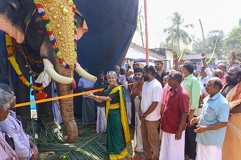 Robotic elephant donated by Voices for Asian Elephants Society (VFAES) at Omkareswaram Sree Rama Subrahmanya Temple, Cherthala