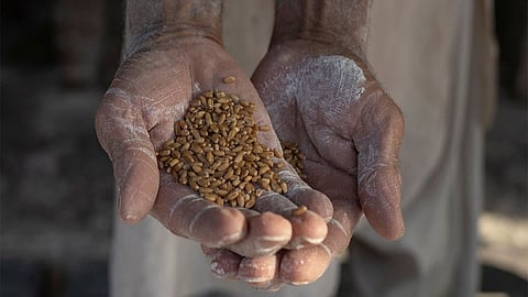 Image used for representational purposes only.