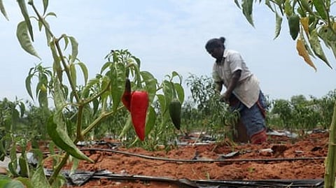 Image used for representational purposes only.