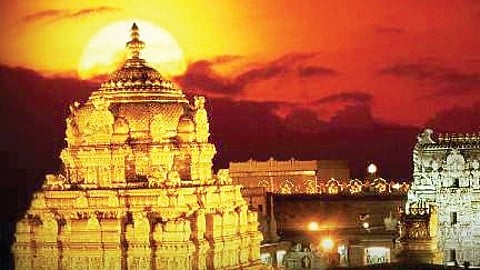 The lab is being set up in a renovated 12,000 sq. ft. building within the Tirumala flour mill premises.