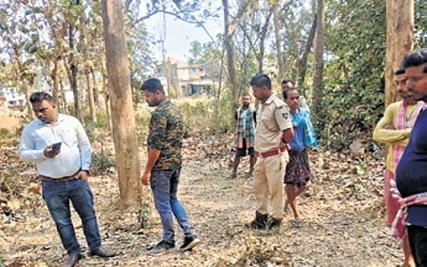 Forest staff examining the spot where the incident took place