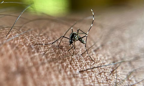 India annually records over 1 lakh cases of dengue and malaria