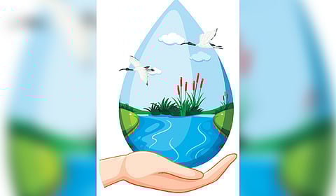 The episode is often cited as a lesson in what happens when human health is addressed in isolation from animal/bird life, and the environment.