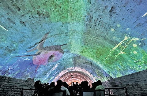 Light and show at the renovated Chilakkoor Tunnel