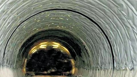 Image used for representation