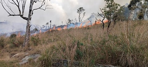 A wildfire broke out at Nagalur in Yercaud
