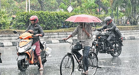 Summer rain, dip in temperature provide relief from forest fires in Kerala
