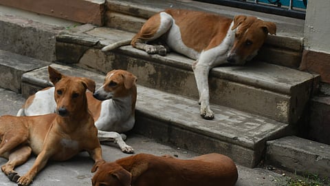 Image used for representation purposes only.