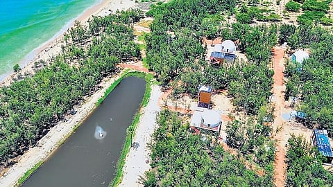 The illegal constructions at an eco-sensitive zone in Pulicat.