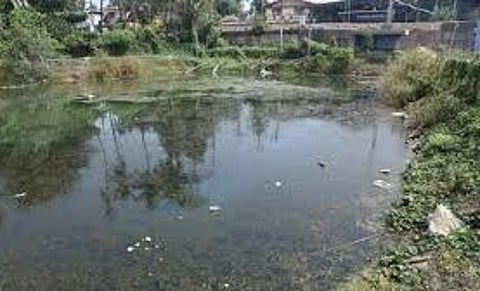 Sewage inflow has also worsened the mosquito menace in the area