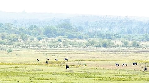 Strengthening the Forest Department through large-scale recruitment and mitigating human–animal conflict are also key promises in the Karnataka Budget 2026.