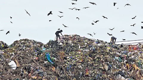 Around 1,800 tonnes of segregated waste and 800 tonnes of unsegregated waste from various parts of Chennai city will be transported daily to WtE plant