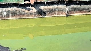 Those living around the lake are worried over the Dal changing colour and have sought clarification from the authorities on the colour change.