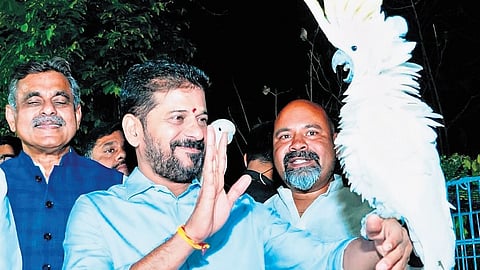 Chief Minister A Revanth Reddy admires a parrot after inaugurating the Eco Hill Park at Kothwalguda in Hyderabad on Friday.