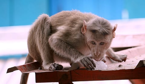 Image used for representative purposes only.