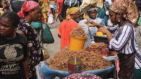 A vendor sells crayfish at a Mile 12 Market in Lagos, Nigeria, Feb. 16, 2024.