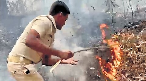 Fires often break out when passersby discard burning cigarette butts on campus.