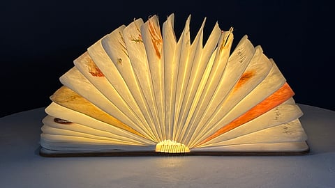 When books become art