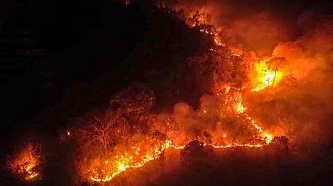 Representative Image