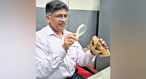 Dr S K Padmakumar