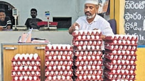 A large share of these eggs is sourced from southern states including Andhra Pradesh and Tamil Nadu.