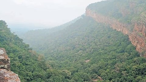 For 2024-25, the approved APO was Rs 253.6 crore, and the utilisation reported so far is Rs 129.93 crore.