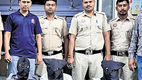Gang posing as officials duped rail passengers in Delhi, 3 held