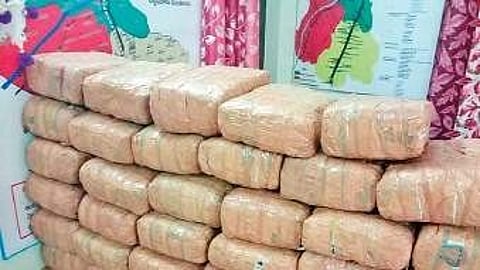 Image of seized ganja used for representative purposes only