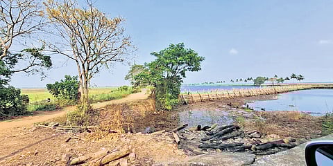 A view from the roadside at Kandassankadavu in Manalur constituency in Thrissur district.