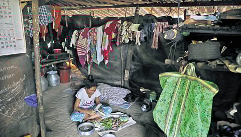 Chaithanya, a Class 12 student, cutting vegetables at her home in the Chonambala tribal settlement, Thiruvananthapuram, reflecting everyday life in the forest-fringe community.