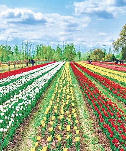 Srinagar Diary | Winter makes a comeback in Kashmir