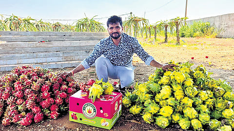 Zaheerabad’s soil called him back