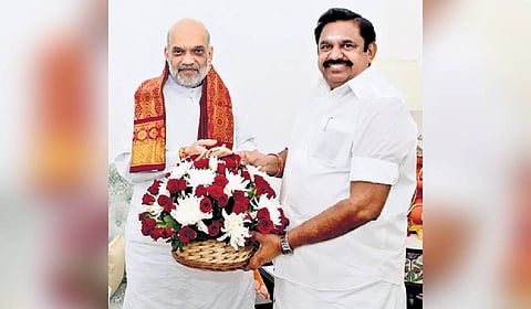 Palaniswami told reporters he came to Delhi since Union Minister Amit Shah was busy with other elections.