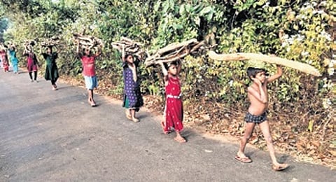 Women and children carrying firewoood to their village in Kendrapara.