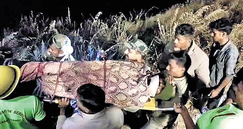 The 29-year-old tourist who fell into a 150-foot-deep gorge at Oosimalai viewpoint in Nilgiris was rescued alive on Friday morning.