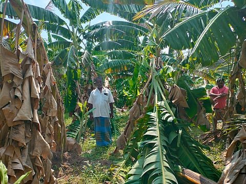 Image used for representative purposes only.