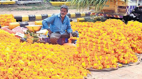A flower seller at Gadag market waits for customers as prices hit rock bottom.