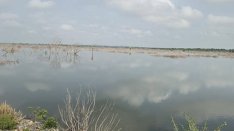 A view of Kottarai-Marudaiyaru dam in Kottarai village in Perambalur district.