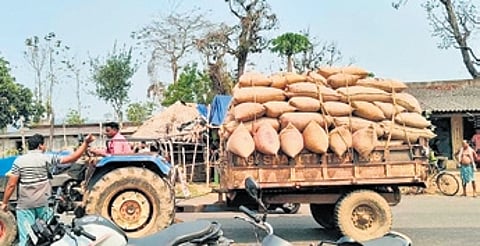Farmers transporting paddy bags to the protest site on a tractor