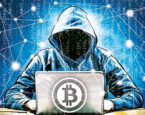 Image used for representation